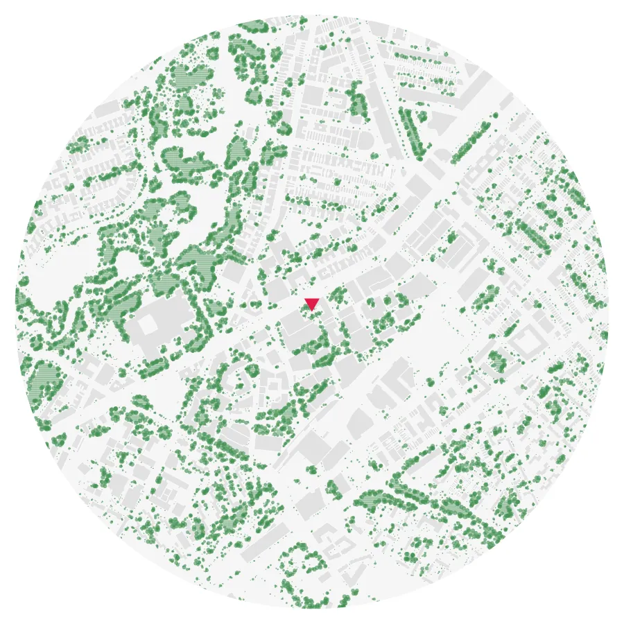 Tree canopy diagram, Northeastern University, Fenway, Boston, ½-mile radius