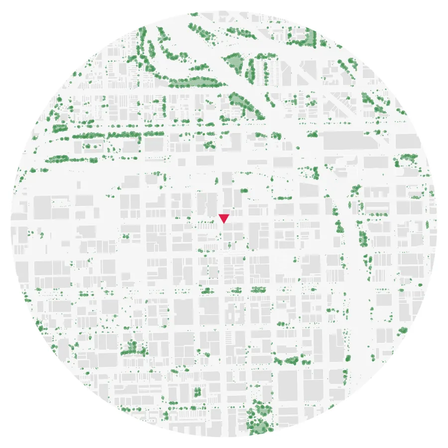 Tree canopy diagram, Fulton Market, West Loop, Chicago, ½-mile radius