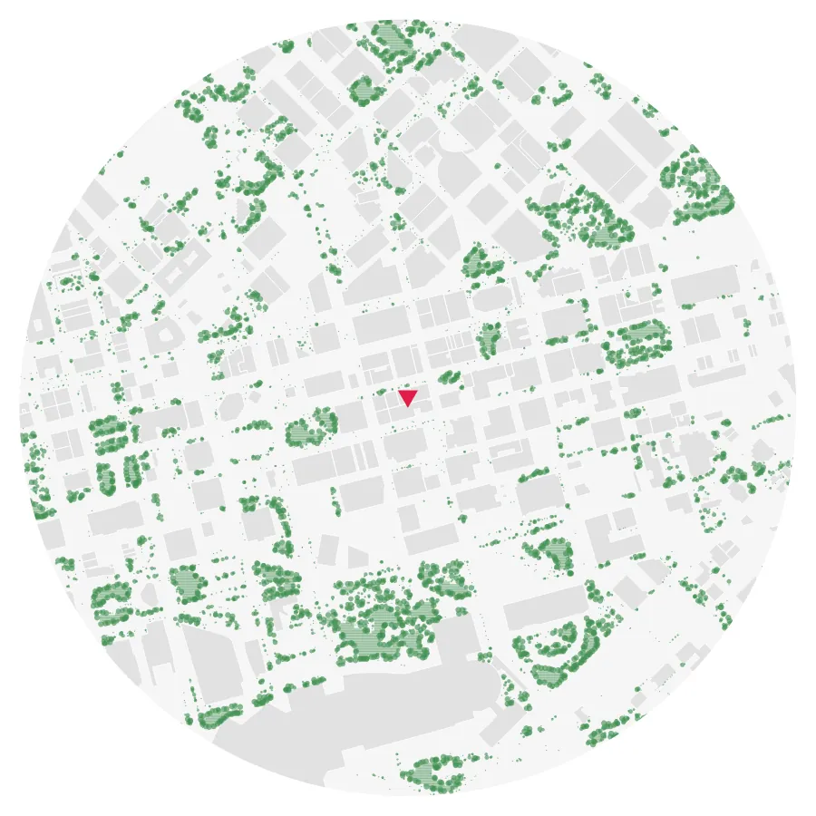 Tree canopy diagram, Downtown Dallas, Dallas, ½-mile radius