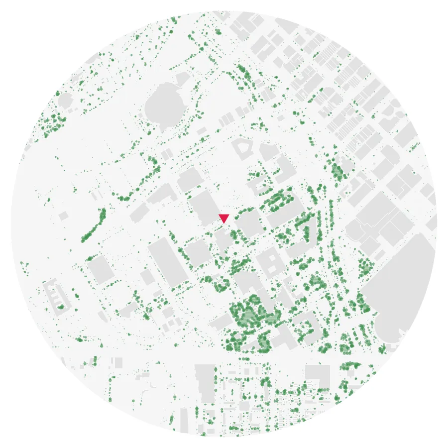 Tree canopy diagram, Auraria Campus (CU Denver), Denver, ½-mile radius
