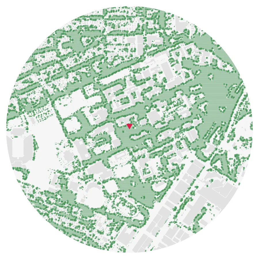 Tree canopy diagram, Rice University, Houston, ½-mile radius