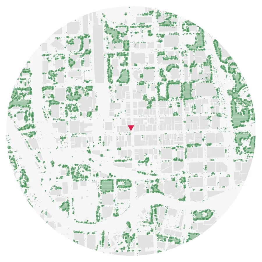 Tree canopy diagram, Downtown Miami, Miami, ½-mile radius