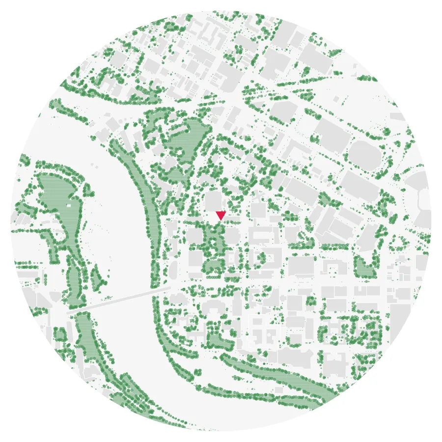 Tree canopy diagram, University of Minnesota, East Bank, Minneapolis, ½-mile radius