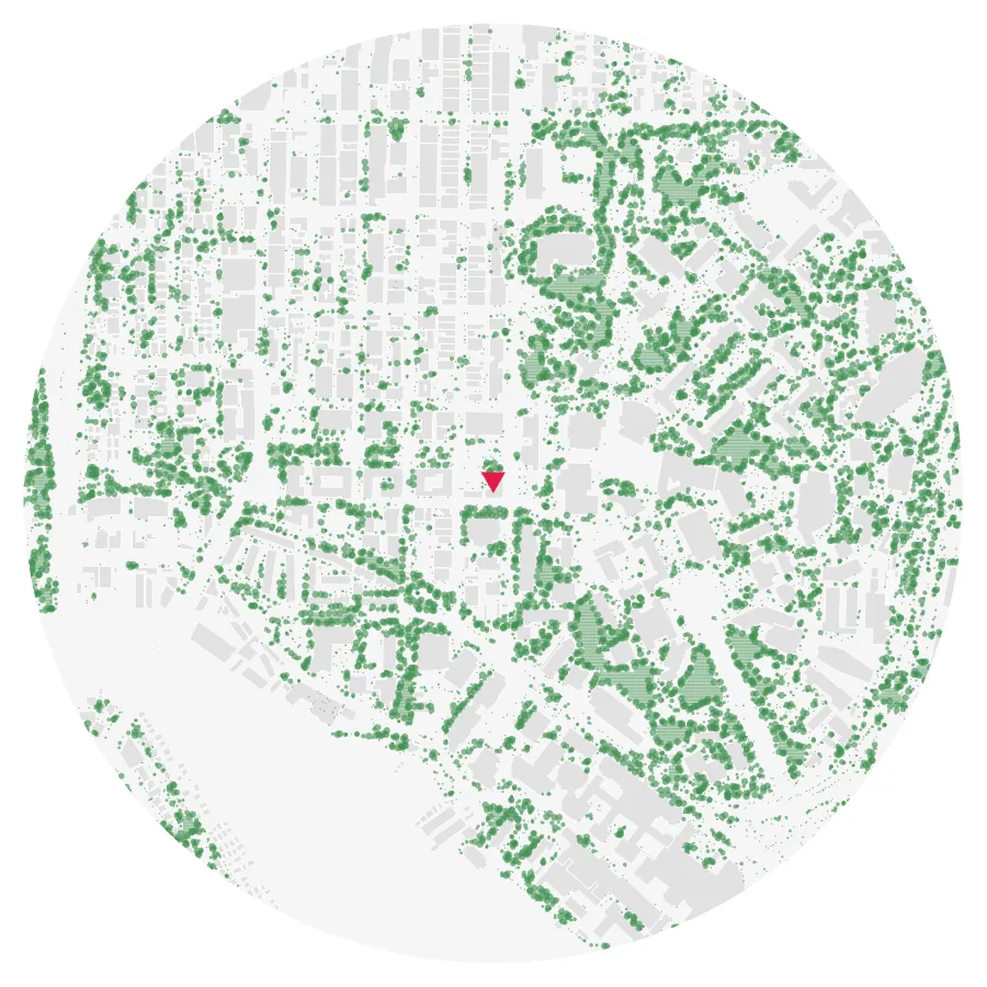 Tree canopy diagram, University of Washington, Seattle, ½-mile radius