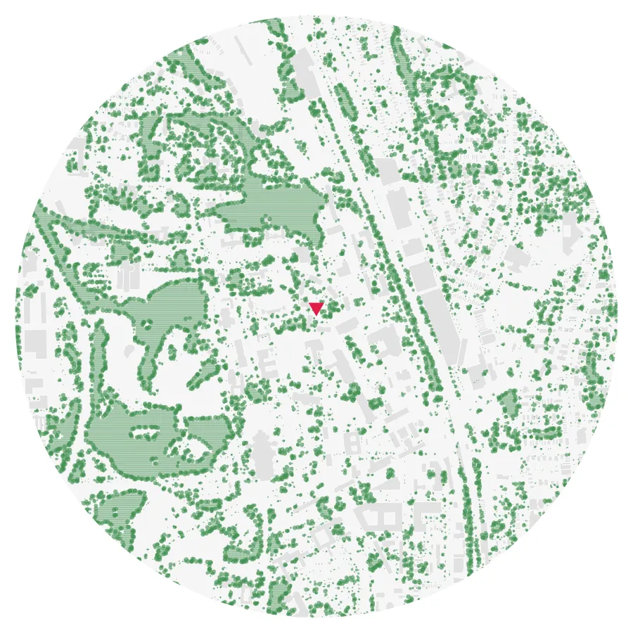 Tree canopy diagram, Catholic University of America, Brookland, Washington, DC, ½-mile radius