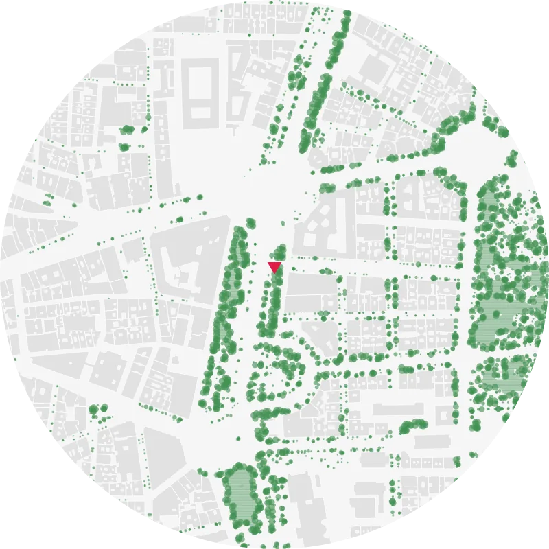 Lámina Arbolado del Paseo del Prado (Madrid), radio 500 m: hileras de árboles en el paseo y arbolado continuo del Retiro al este